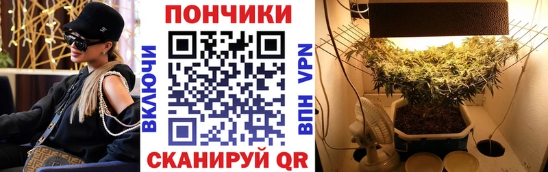 Шишки марихуана семена  купить закладку  Шенкурск 